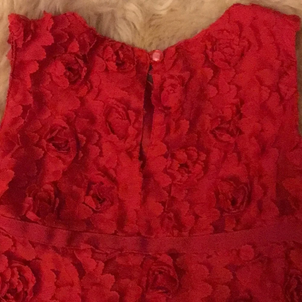 🌹Baby Gap red flower dress GUC size 5🌹